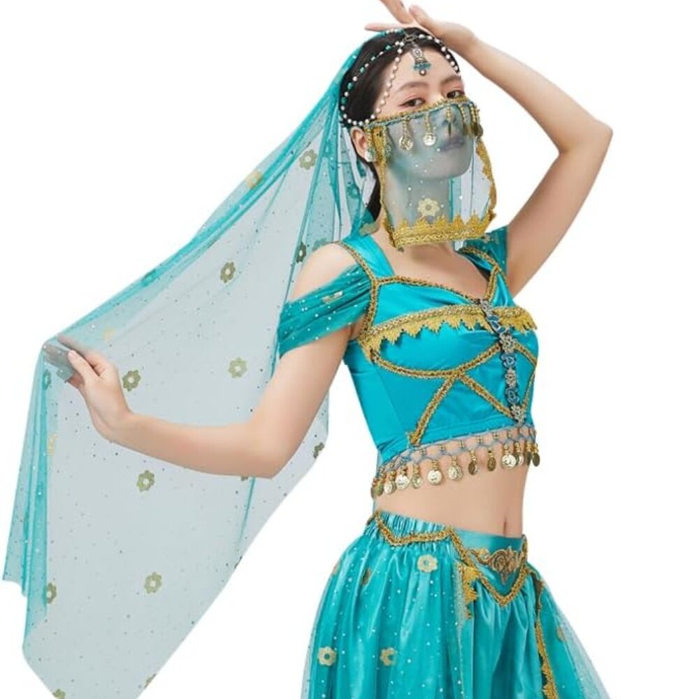 Aladdin Princess Jasmine Costume Belly Dancer Costume Ladies -- Small